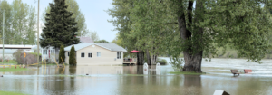 Flooded yard and house.